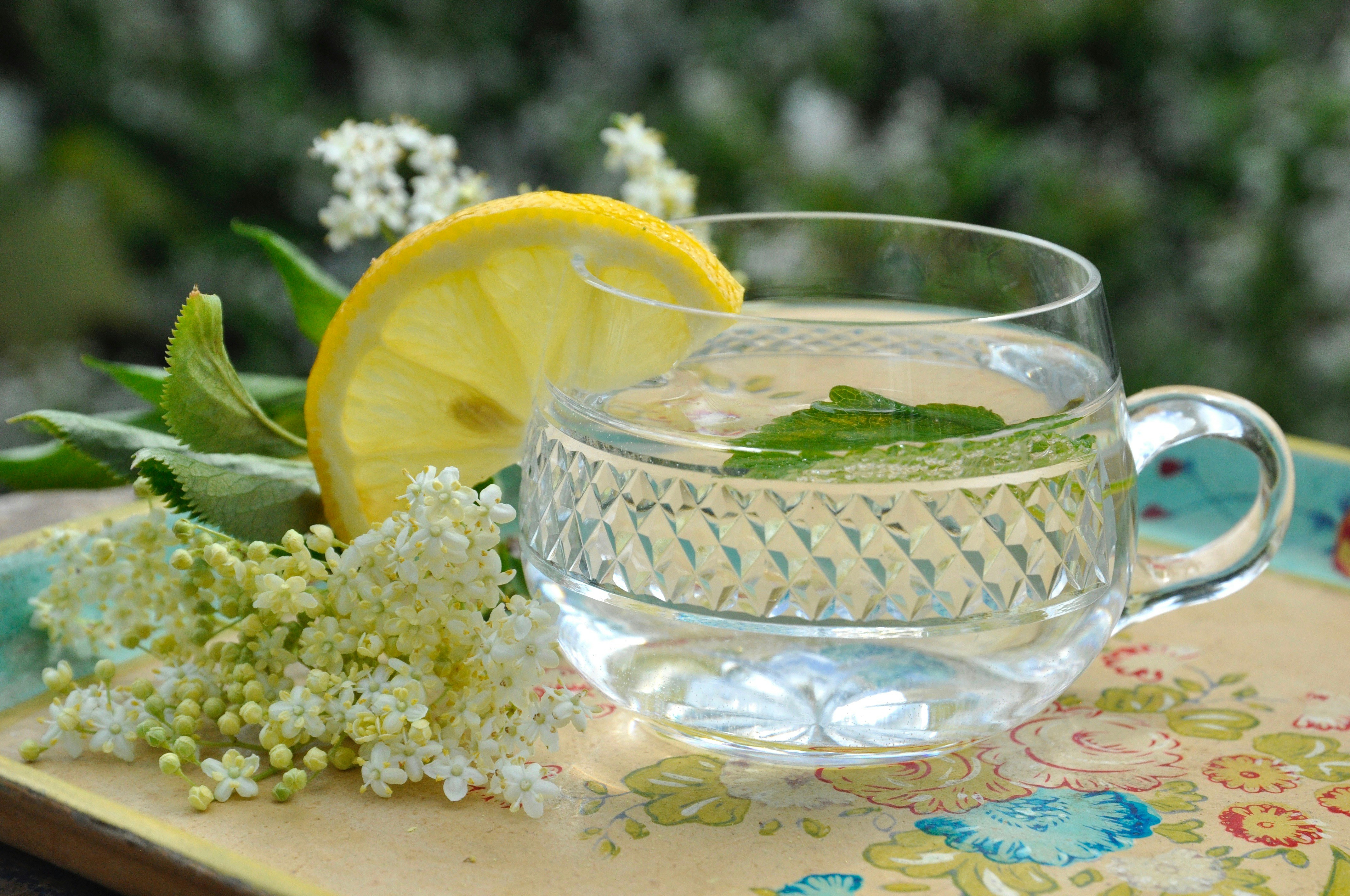 Détox naturelle avec plantes et aliments
